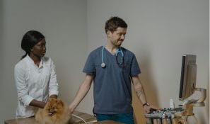 veterinarians