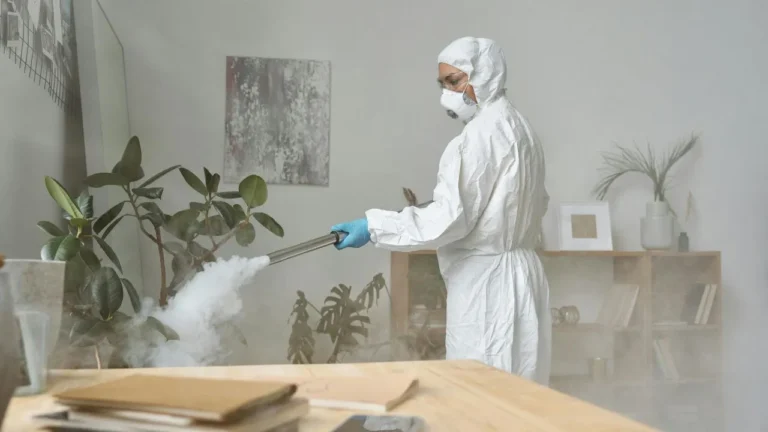 Digital Marketing strategies for pest control