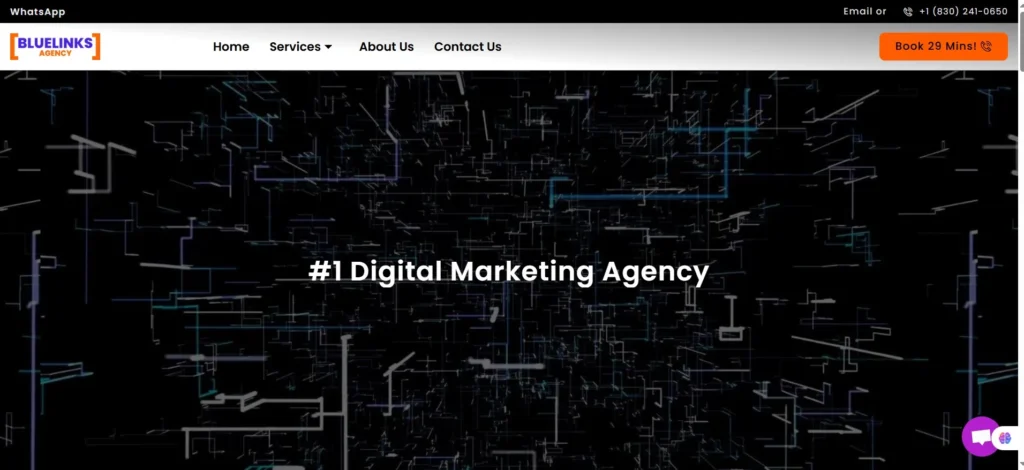 "Homepage of Bluelinks Agency featuring a bold headline '#1 Digital Marketing Agency' with a tech-inspired black and blue abstract background, navigation menu, and call-to-action button."