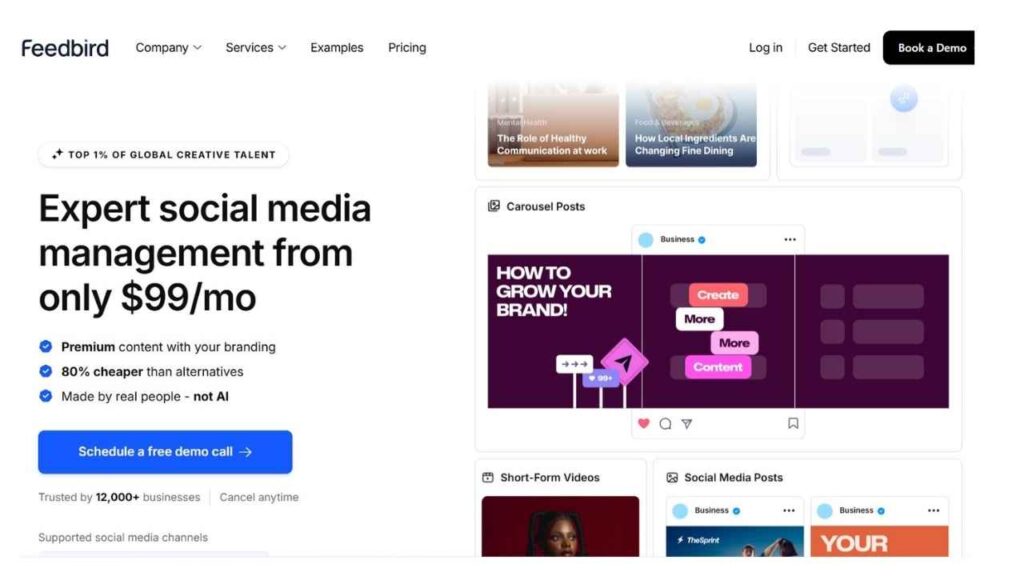 "Feedbird homepage screenshot showcasing expert social media management services starting at $99/month, with carousel posts and short-form content examples."