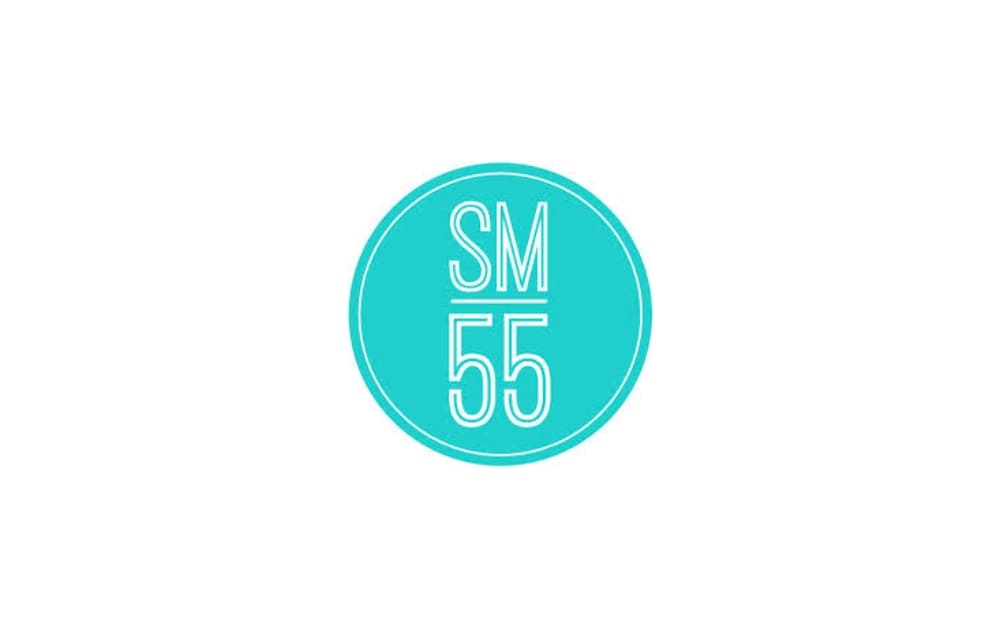 Aqua blue circular logo containing the initials "SM 55" in thin, white, modern typography, representing the brand identity of Social Media 55.