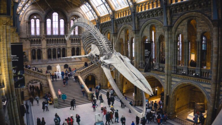 digital marketing for museum