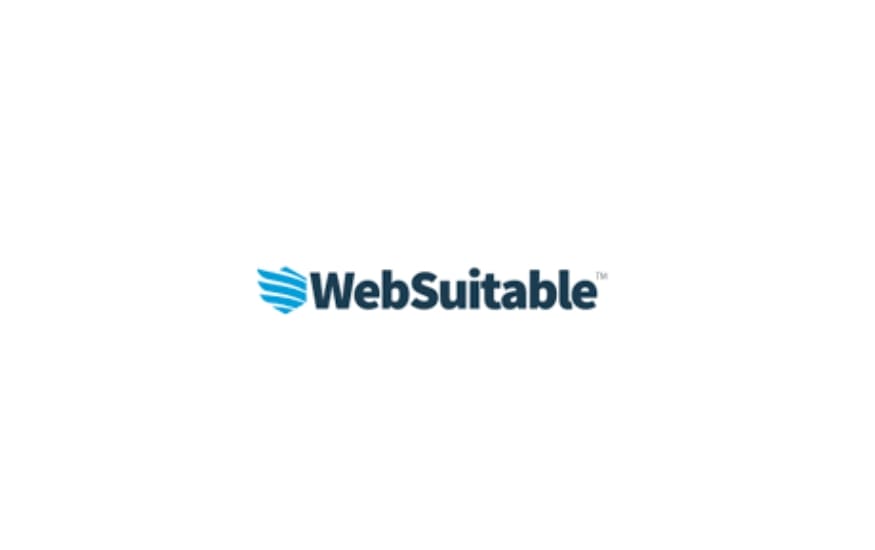 Logo of WebSuitable, featuring a sharp blue wing-shaped symbol on the left followed by the name in bold dark blue lettering.