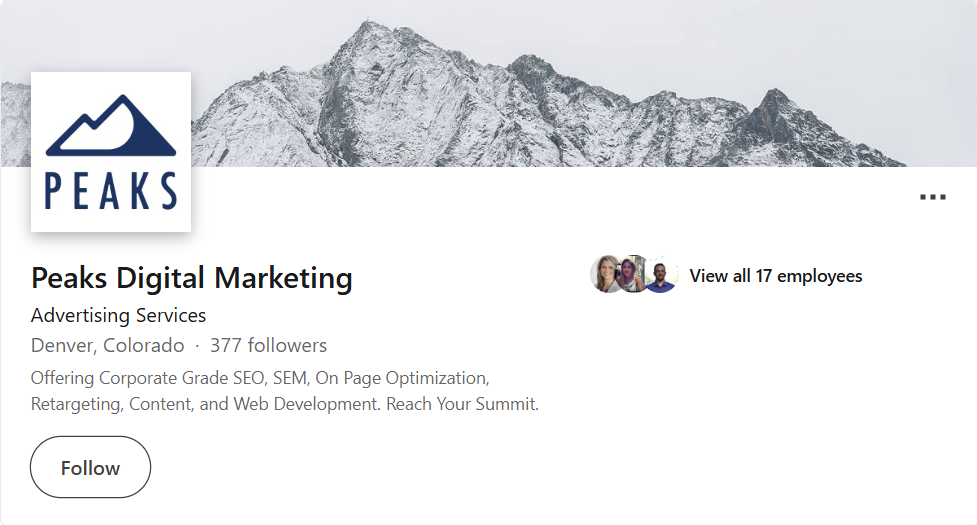 Peaks Digital Marketing | Denver SEO