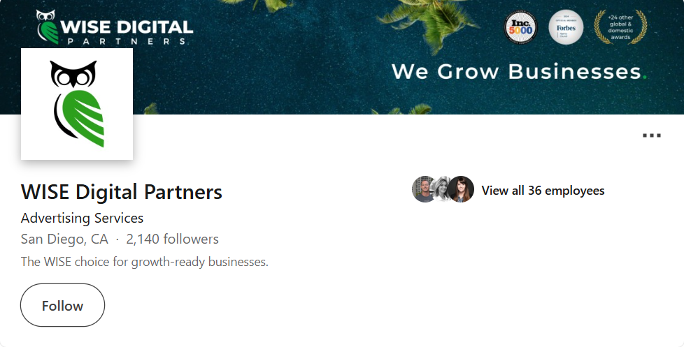 WISE Digital Partners