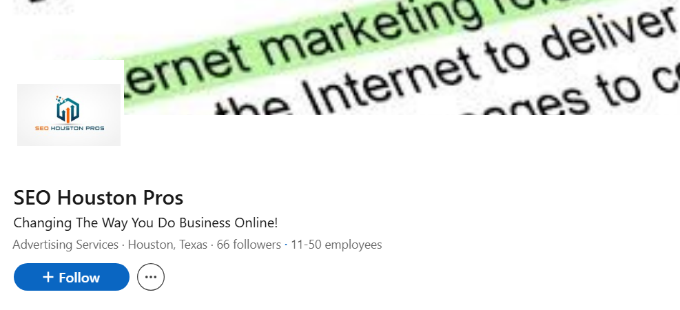 SEO Houston Pros