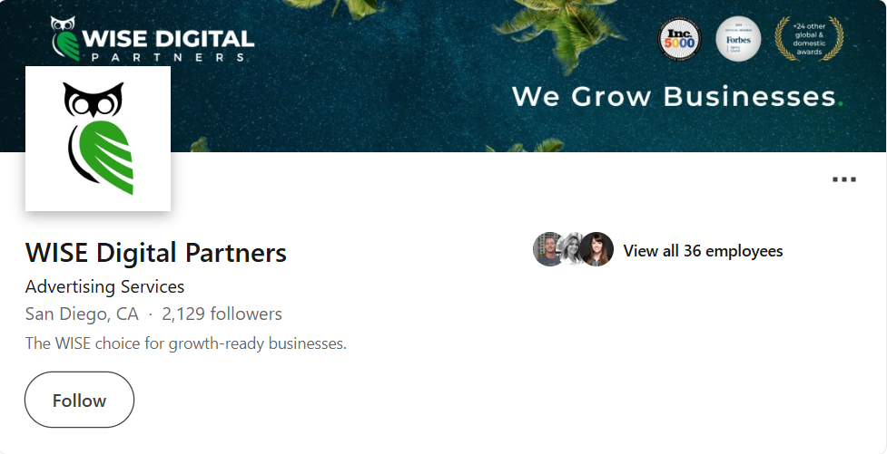 WISE Digital Partners