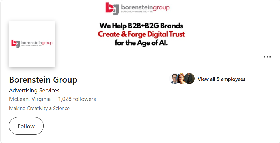Borenstein Group, Inc.