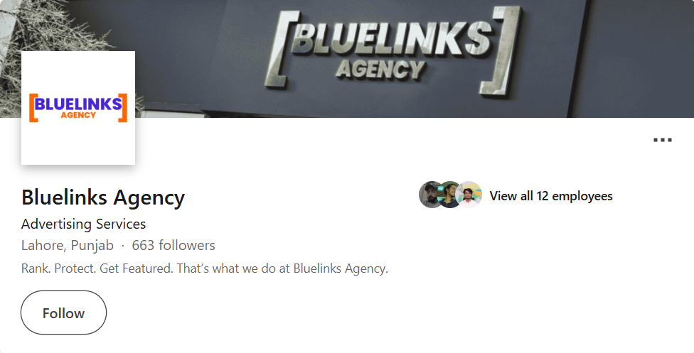 Bluelinks Agency