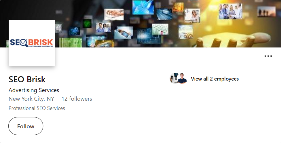 SEO Brisk