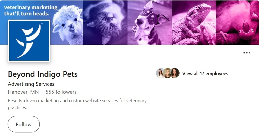 Beyond Indigo Pets